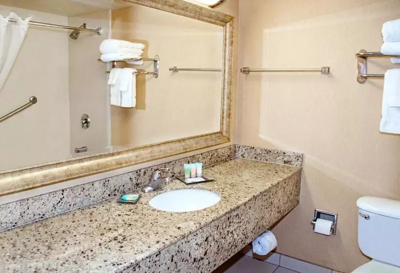 Fotos del hotel Midtown Garden:  16