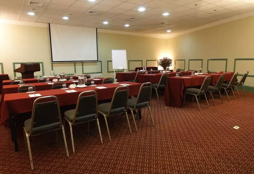 Fotos del hotel Suites Del Bosque:  6