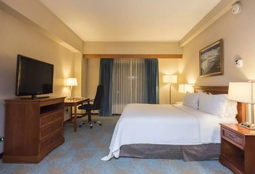 Fotos del hotel Holiday Inn Convention Center, An Ihg:  2