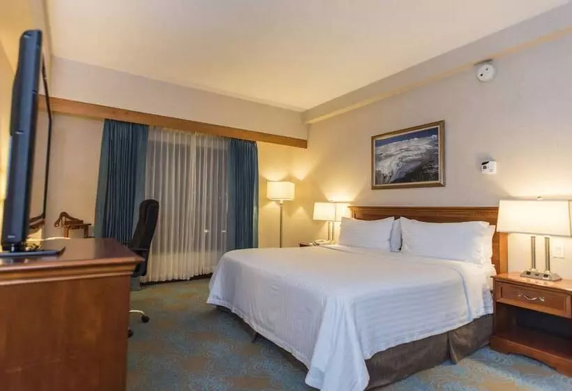 Fotos del hotel Holiday Inn Convention Center, An Ihg:  8