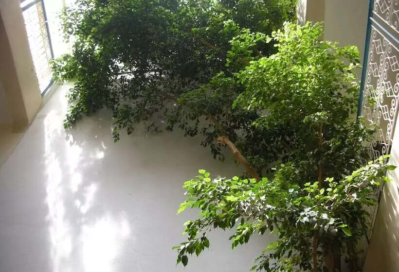 Fotos del hotel Dar Raha:  9