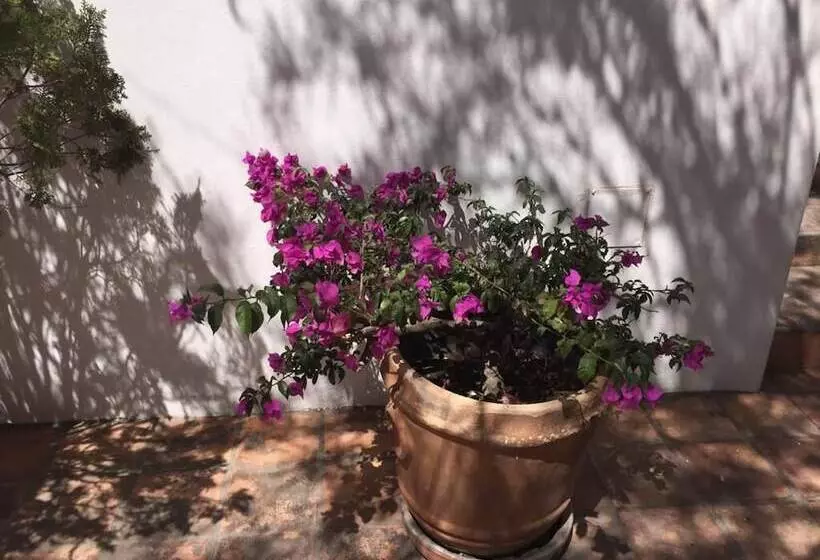 Fotos del hotel La Puertecita Boutique:  17