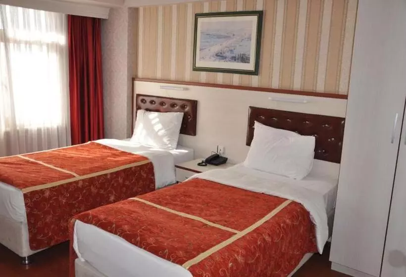 Fotos del hotel Tayhan:  7