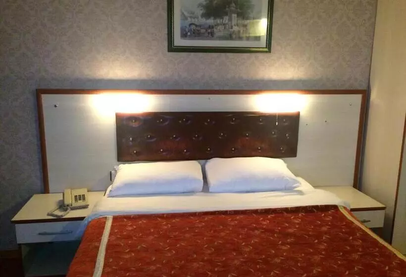 Fotos del hotel Tayhan:  24