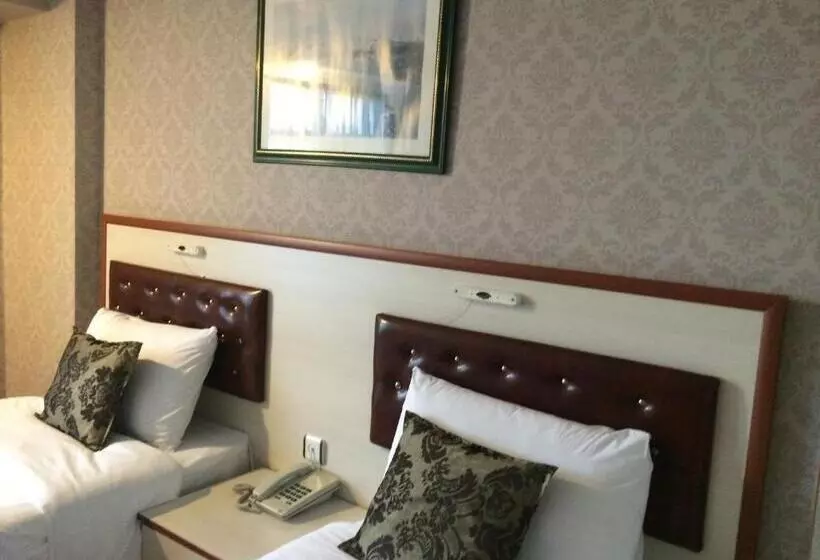 Fotos del hotel Tayhan:  25