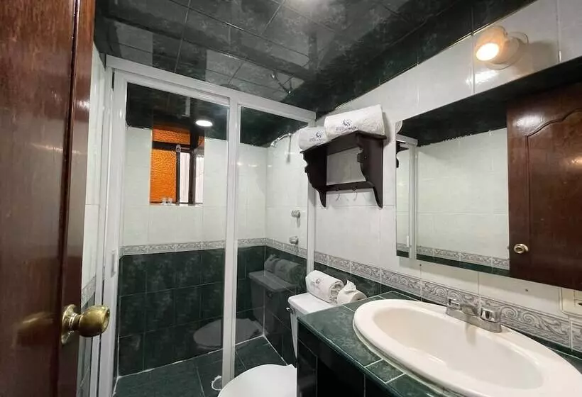 Fotos del hotel Hotel Puebla Plaza:  6