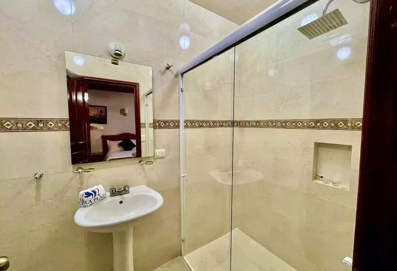 Fotos del hotel Hotel Puebla Plaza:  11