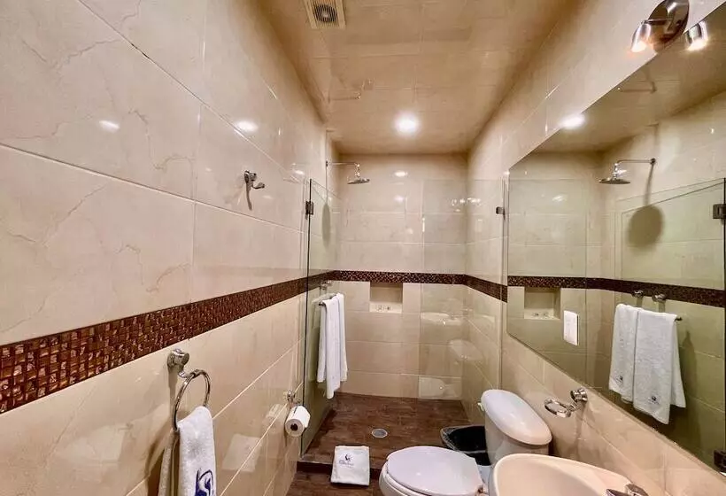 Fotos del hotel Hotel Puebla Plaza:  17