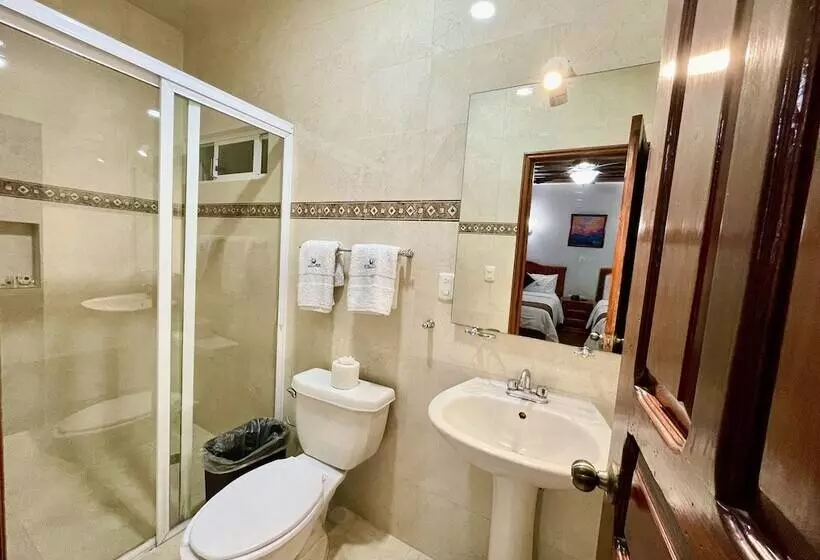 Fotos del hotel Hotel Puebla Plaza:  13