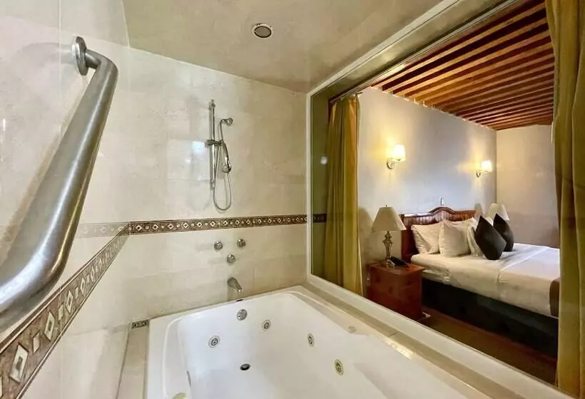 Fotos del hotel Hotel Puebla Plaza:  4