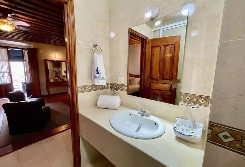 Fotos del hotel Hotel Puebla Plaza:  15