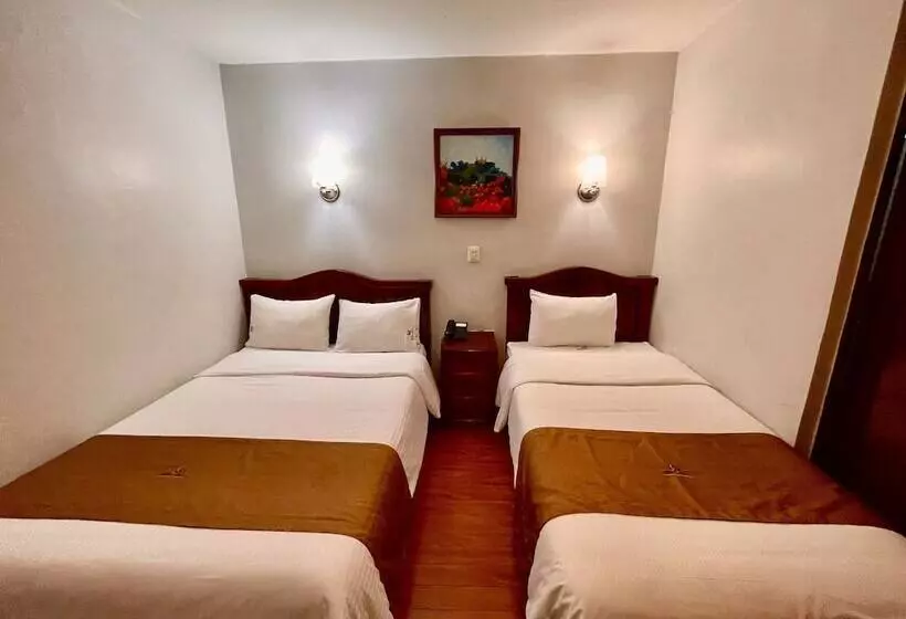 Hotel Puebla Plaza