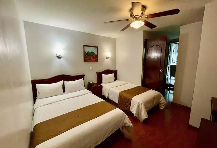 Fotos del hotel Hotel Puebla Plaza:  22