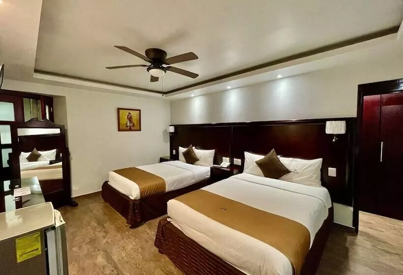 Fotos del hotel Hotel Puebla Plaza:  14