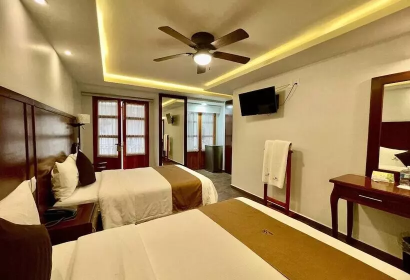 Fotos del hotel Hotel Puebla Plaza:  24