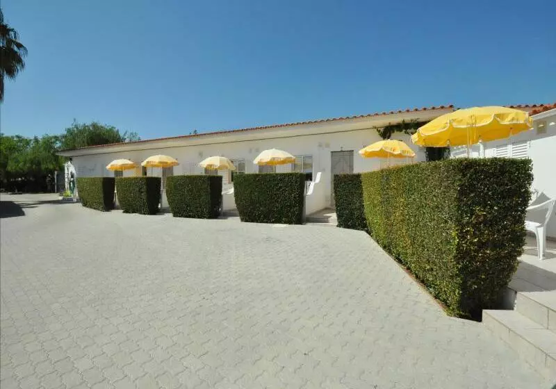 Fotos del hotel Apartamentos Flor Da Laranja, Albufeira:  16