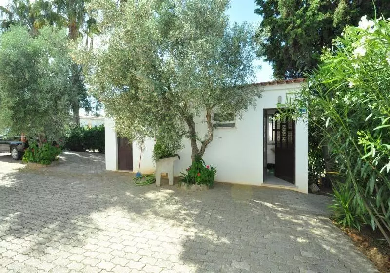 Fotos del hotel Apartamentos Flor Da Laranja, Albufeira:  10