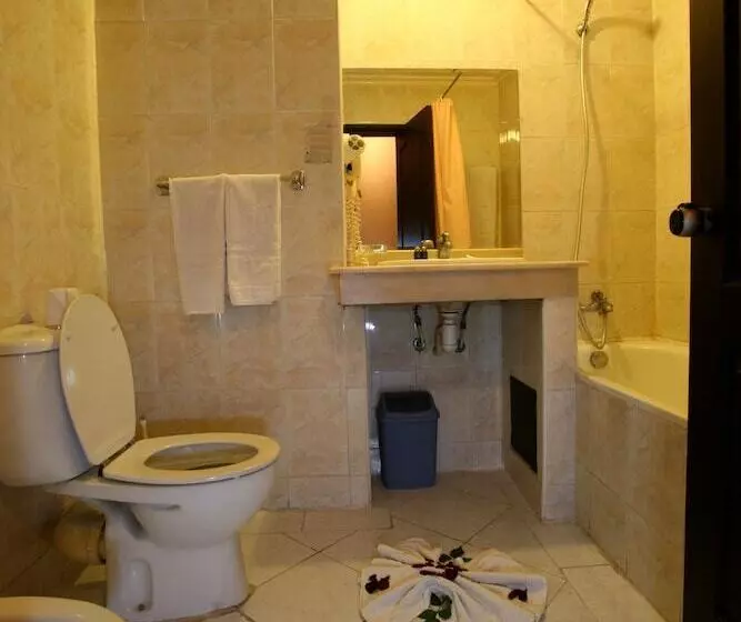 Fotos del hotel Imperial Holiday Hôtel & Spa:  5