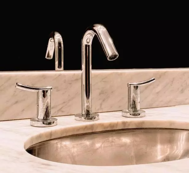 Fotos del hotel Tronador:  6