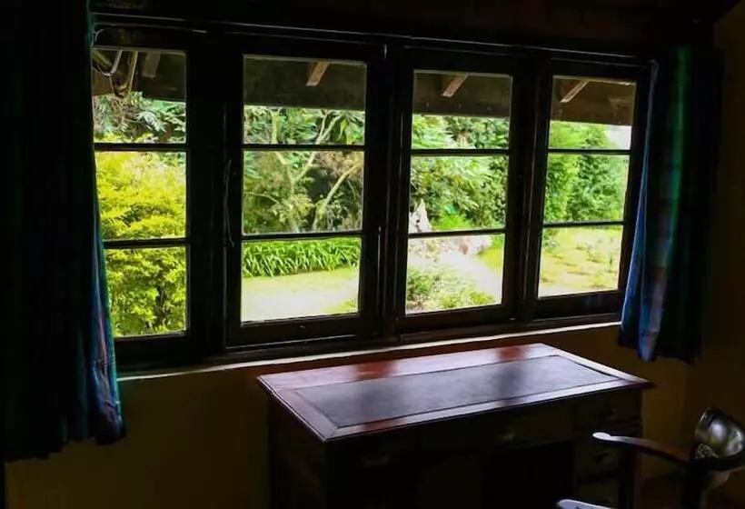 Fotos del hotel Ferncliff Bungalow:  6
