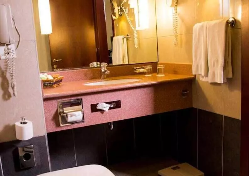 Fotos del hotel Amman Cham Palace:  4