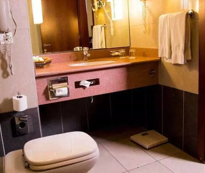 Fotos del hotel Amman Cham Palace:  8