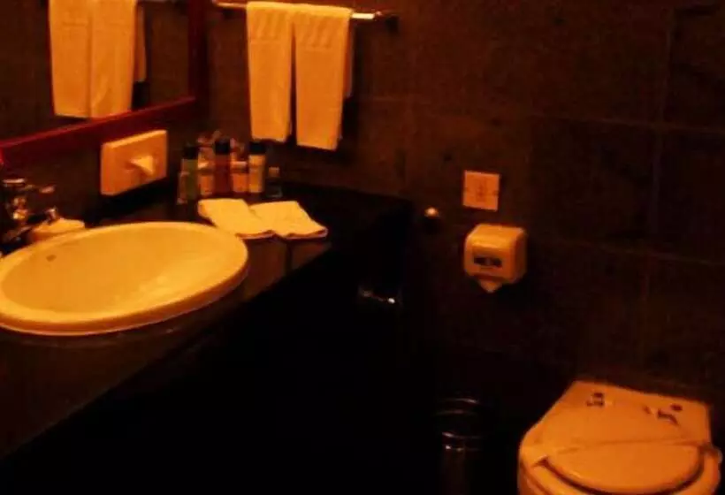 Fotos del hotel Ashok Country Resort:  6