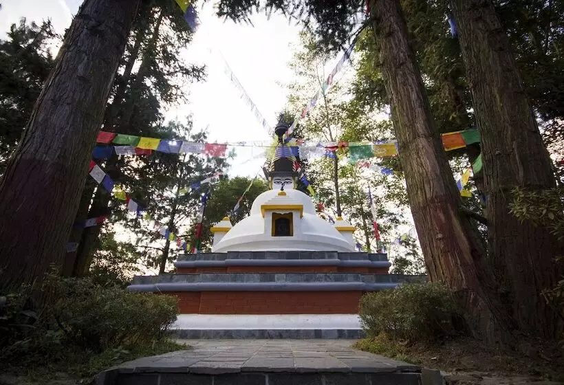 Fotos del hotel Club Himalaya, By Ace Hotels:  9