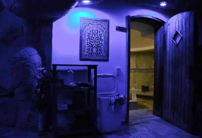 Fotos del hotel Delfi Hotel & Spa:  10