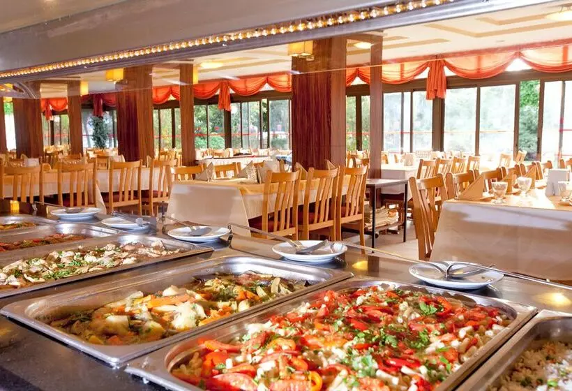 Fotos del hotel Marbel Hotel By Palm Wings  All Inclusive:  19