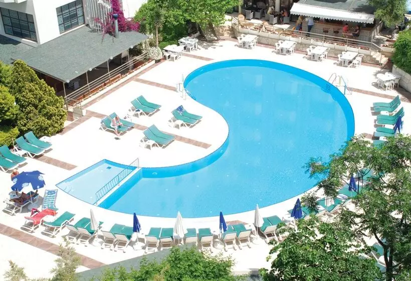 Fotos del hotel Marbel Hotel By Palm Wings  All Inclusive:  11