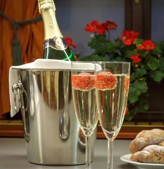 Fotos del hotel Clementin:  5