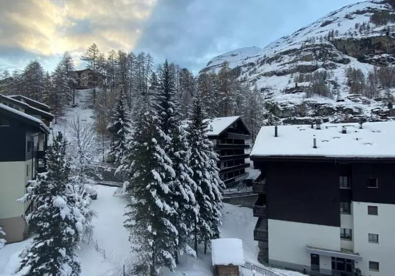 Fotos del hotel Hotel Adonis:  8