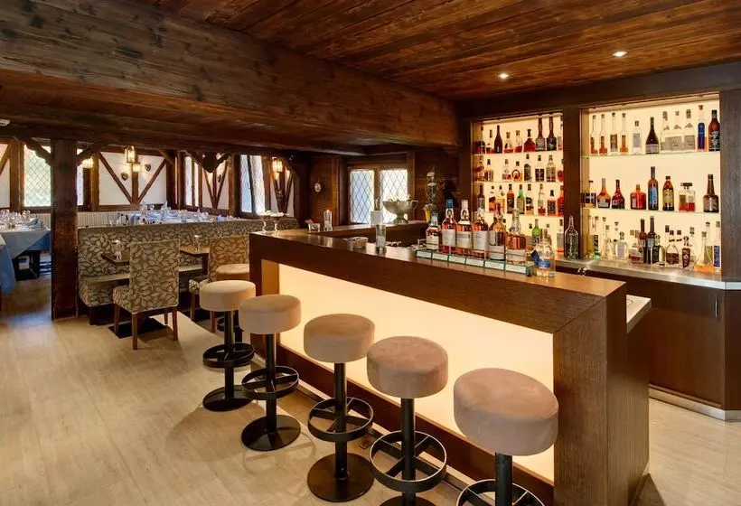 Fotos del hotel Aristella Swissflair:  13