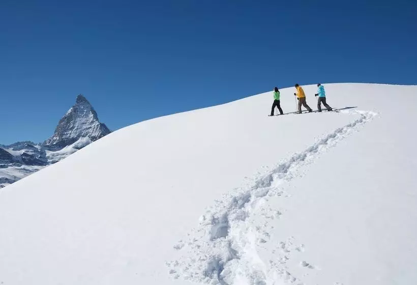 Fotos del hotel Aristella Swissflair:  9