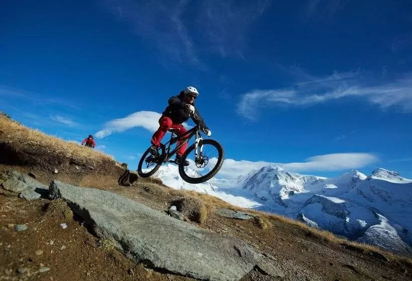 Fotos del hotel Aristella Swissflair:  16