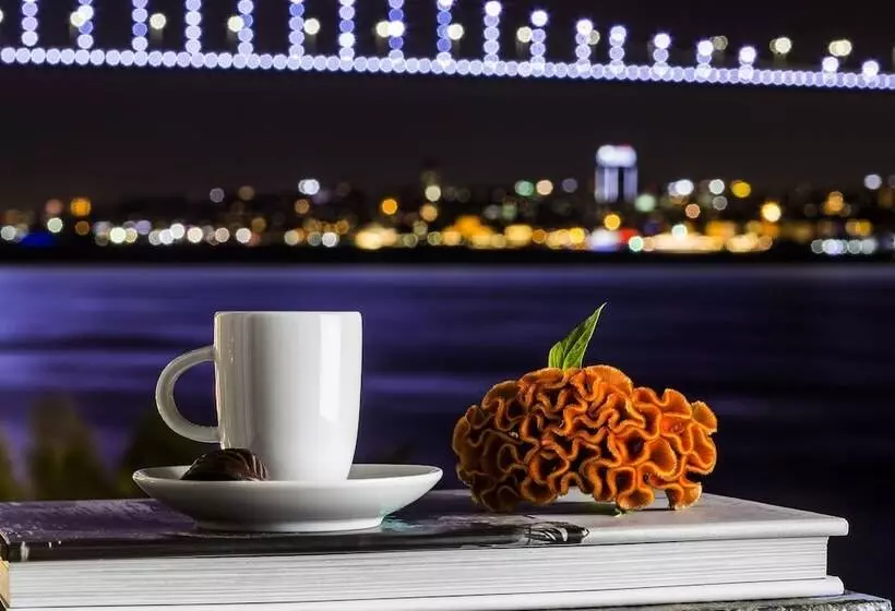 Fotos del hotel Bosphorus Palace Hotel  Special Class:  18