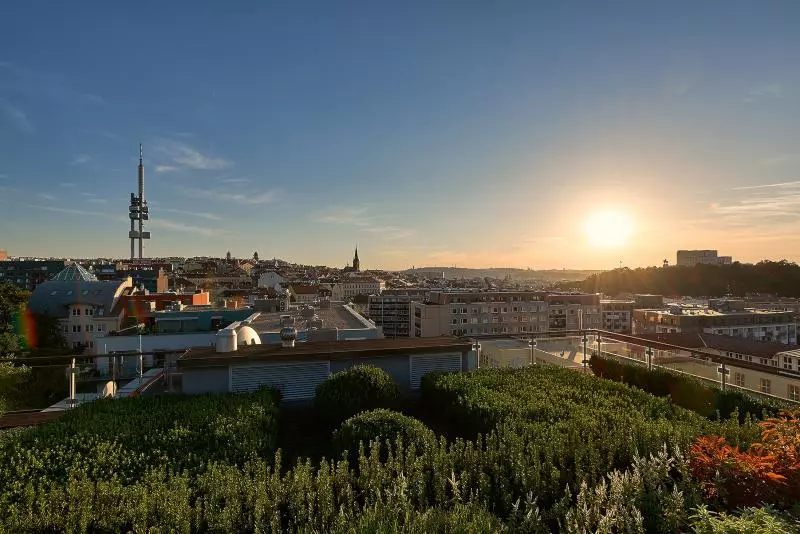 Fotos del hotel City Crown:  5