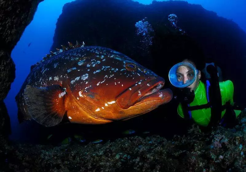 Fotos del hotel Dom Pedro Garajau:  14