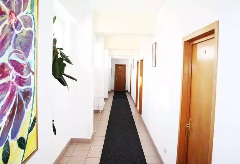 Fotos del hotel Elizeu:  3