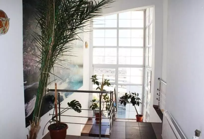 Fotos del hotel Elizeu:  20