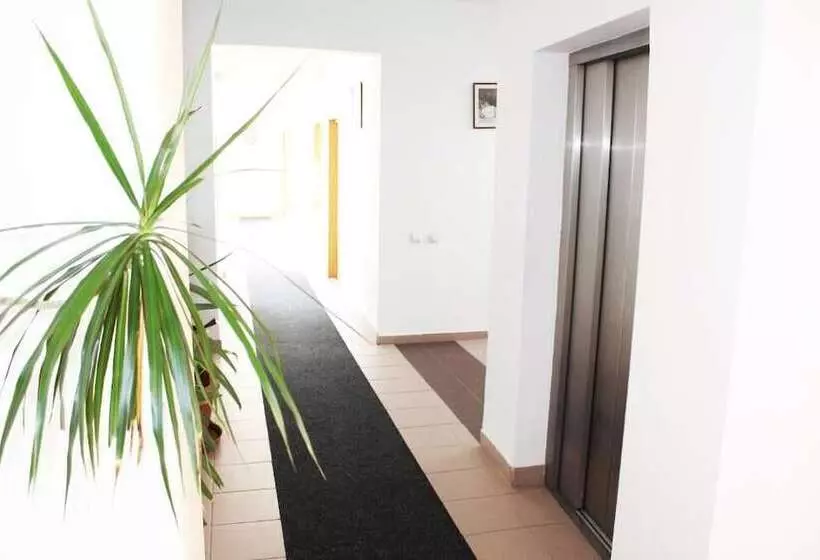 Fotos del hotel Elizeu:  10