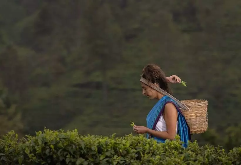 Fotos del hotel Heritance Tea Factory:  7