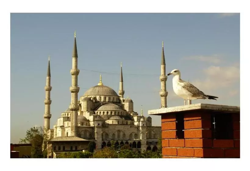 Fotos del hotel Uyanspecial Category:  9