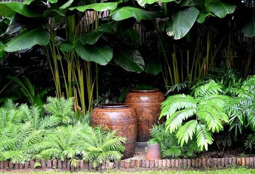 Fotos del hotel Rachamankha:  5