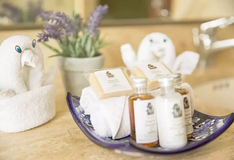 Fotos del hotel Los Itzaes:  12