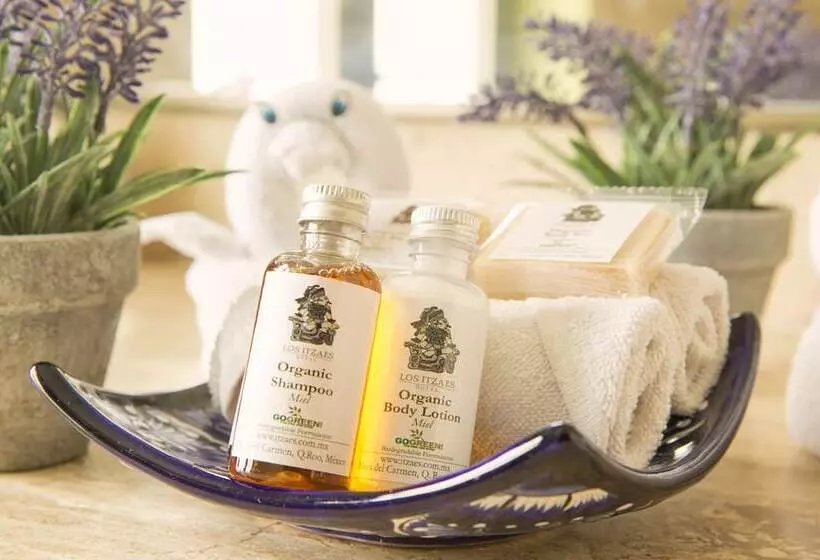 Fotos del hotel Los Itzaes:  5