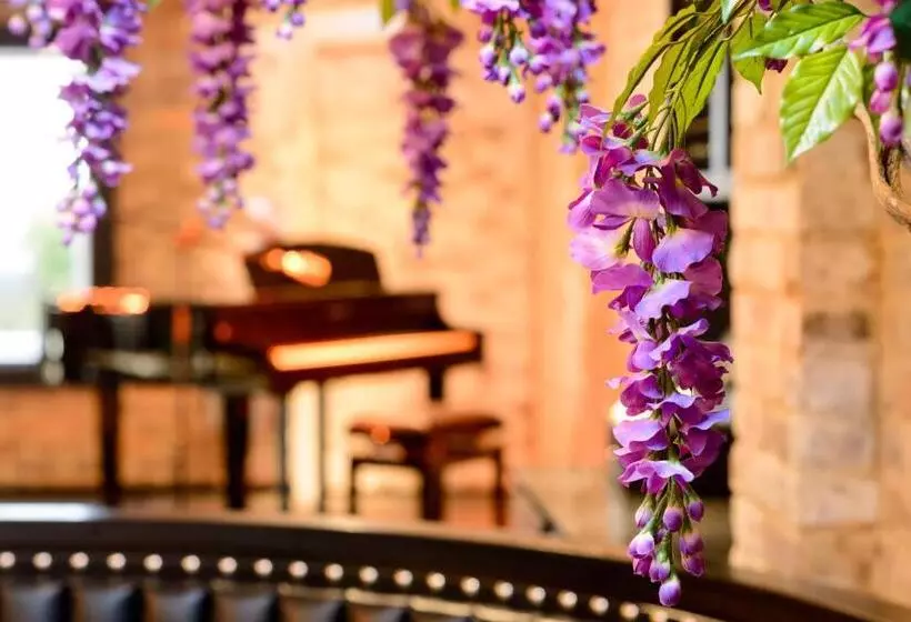 Fotos del hotel Black Ivy:  19