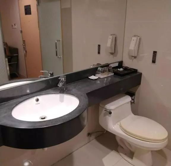 Fotos del hotel Delton:  9