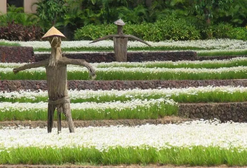 Fotos del hotel Yalong Bay Mangrove Tree Resort:  4